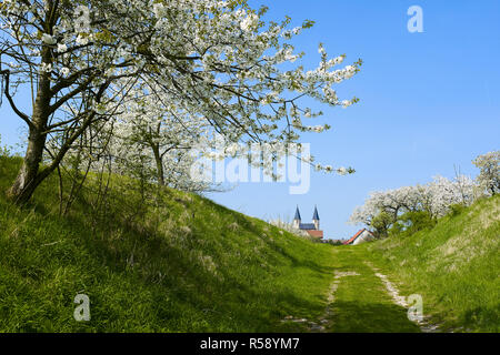 Basilique romane Saint Gangolf dans Münchenlohra zur Kirschblüte LK, Nordhausen, Thuringe, Allemagne Banque D'Images