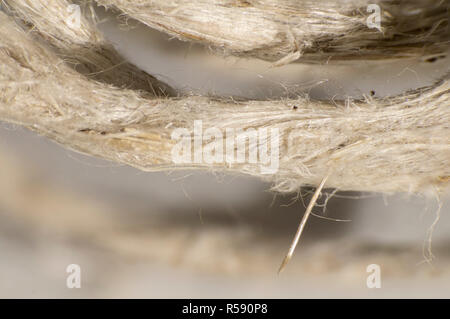 Ficelle macro détail Banque D'Images