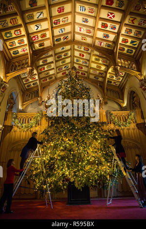 Windsor, Royaume-Uni. 30 novembre, 2018. Les appartements d'État au château de Windsor, ont été décorées avec des arbres de Noël scintillant et lumières de Noël. Vu ici dans le magnifique St George's Hall un superbe 20ft Nordmann sapin de Windsor Great Park vêtus de dorures. Un arbre de Noël 15ft apparaît également dans le Crimson Salle de dessin. Credit : Mark Kerrison/Alamy Live News Banque D'Images