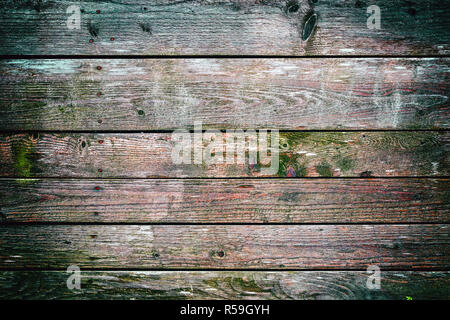 Clôture en bois couverts par moss Banque D'Images