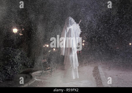 Portrait de reine des neiges dans le parc de nuit Banque D'Images