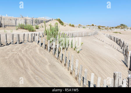 Paysage de dunes sur la plage de l'Espiguette en camargue,sud france Banque D'Images