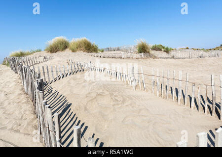 Paysage de dunes sur la plage de l'Espiguette en camargue,sud france Banque D'Images