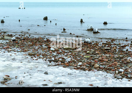 Pierre dans la glace, la glace de mer couverte de roches, rocky mer en hiver Banque D'Images