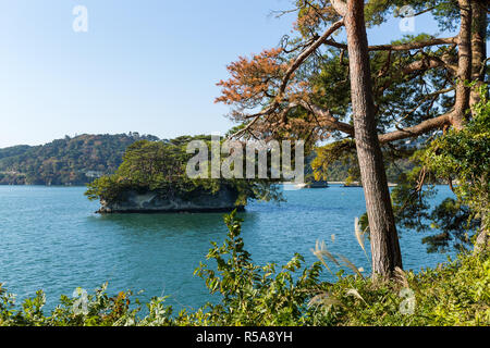 Matsushima japonais Banque D'Images