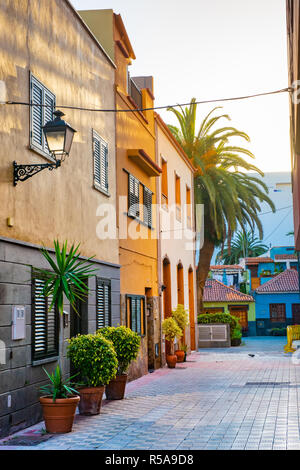Maisons colorées, sur Palm Street Ville Puerto de la Cruz Tenerife Banque D'Images