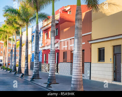 Maisons colorées, sur Palm Street Ville Puerto de la Cruz Tenerife Banque D'Images