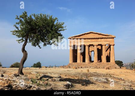 Valle dei Templi di Agrigento, Temple of Concordia avec olivier, Agrigente, Sicile, Italie Banque D'Images