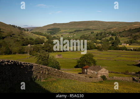 Muker prés ; Swaledale ; Yorkshire ; UK Banque D'Images