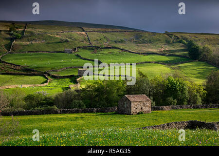 Muker prés ; Swaledale ; Yorkshire ; UK Banque D'Images