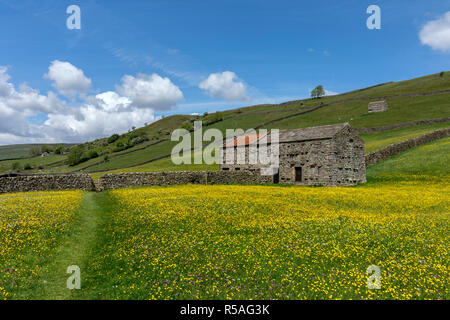 Muker prés ; Swaledale ; Yorkshire ; UK Banque D'Images