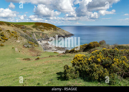 Nare Head ; St Just in Roseland, Cornwall, UK Banque D'Images