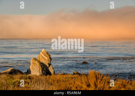 Un épais brouillard est roulant sur l'océan, près de la plage de Carmel River dans la région de Carmel by the Sea, en Californie. Banque D'Images