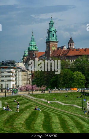 La cathédrale du Wawel à Cracovie, Pologne Banque D'Images