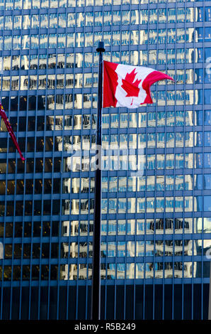 Le Canada, l'Ontario, Toronto, du centre-ville de Quartier Financier, Toronto-Dominion Centre Banque D'Images