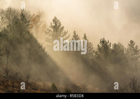 Lever de soleil sur l'Iéna, Nebel, Thuringe, Allemagne Banque D'Images