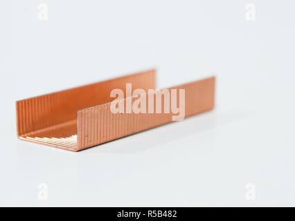 Les agrafes métalliques de cuivre pour agrafeuse, dans l'isolation avec un fond blanc. Close up. Macro. selective focus Banque D'Images