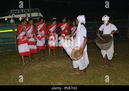 Danse folklorique de Kodal Adivasi bustee Jaldapara au Parc National d'Alipurduar district de l'ouest du Bengale, en Inde Banque D'Images