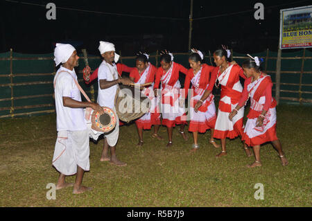 Danse folklorique de Kodal Adivasi bustee Jaldapara au Parc National d'Alipurduar district de l'ouest du Bengale, en Inde Banque D'Images