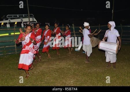 Danse folklorique de Kodal Adivasi bustee Jaldapara au Parc National d'Alipurduar district de l'ouest du Bengale, en Inde Banque D'Images