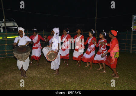 Danse folklorique de Kodal Adivasi bustee Jaldapara au Parc National d'Alipurduar district de l'ouest du Bengale, en Inde Banque D'Images