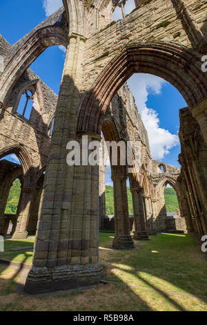 Abbaye de Tintern, Monmouthshire, Wales Banque D'Images