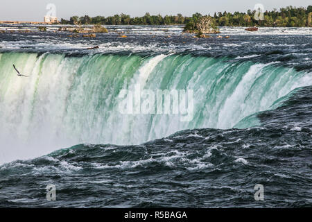 Vue rapprochée de l'horse shoe Falls à Niagara Falls en Ontario Banque D'Images