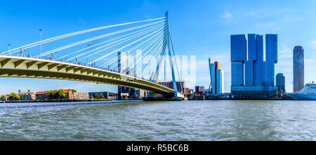 L'architecture moderne d'immeubles de grande hauteur à l'Hollande Amerikakade avec le pont sur l'Erasmus Cable-Stayed Nieuwe Maas (rivière) à Rotterdam Banque D'Images