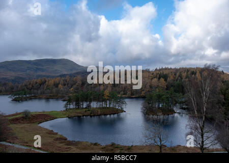 Automne iconique vue sur Tarn Hows, Parc National de Lake District, Cumbria, England, UK Banque D'Images