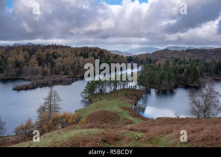 Automne iconique vue sur Tarn Hows, Parc National de Lake District, Cumbria, England, UK Banque D'Images