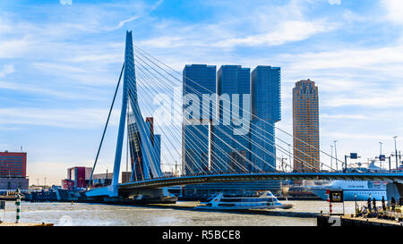 L'architecture moderne d'immeubles de grande hauteur à l'Hollande Amerikakade avec le pont sur l'Erasmus Cable-Stayed Nieuwe Maas (rivière) à Rotterdam Banque D'Images