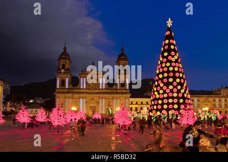 La COLOMBIE, Bogota, Plaza de Bolivar, Cathédrale Primada, néoclassique à Noël Banque D'Images