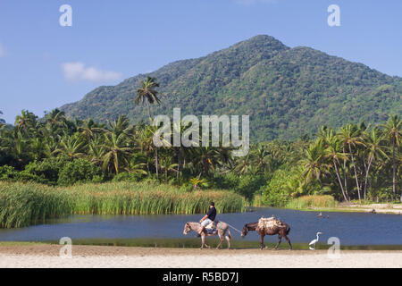 La Colombie, Magdalena, Parc National Naturel de Tayrona - Tayrona National Park, Arrecifes, Man riding horse on beach Banque D'Images