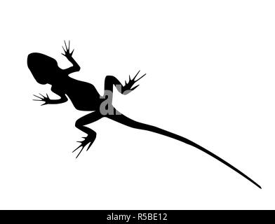 Lizard avec longue queue animal sauvage silhouette noire isolé sur fond blanc. Grandes lignes définies simple reptile, icône logo illustration Banque D'Images