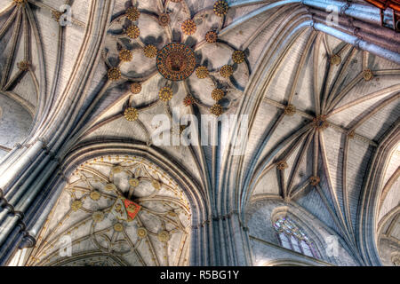 Cathédrale, Palencia, Castille et Leon, Espagne Banque D'Images