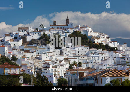 Espagne, Andalousie, Cadix Région Province, Alcala de los Gazules, village andalou blanc Banque D'Images