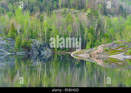 Forêt mixte avec le feuillage de printemps reflète dans le lac Simon, le Grand Sudbury, Ontario, Canada