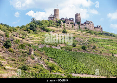 Alken, Allemagne. Château de Thurant (Burg Thurant), au-dessus de la Moselle. Vignobles à flanc de colline. Banque D'Images