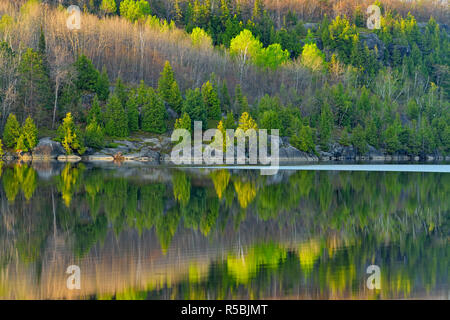 Printemps reflets dans le lac Simon, le Grand Sudbury, Ontario, Canada Banque D'Images