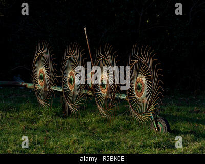 Old rusty Roue (Panier) ou Rake rake latérale dans le domaine Banque D'Images