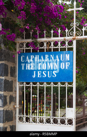 Israël, la Galilée, Capharnaüm, ruines de l'ère biblique accueil village de Jésus Christ pendant son temps dans la Galilée, sign Banque D'Images