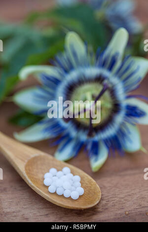 Pilules homéopathiques de Passiflora incarnata. Banque D'Images