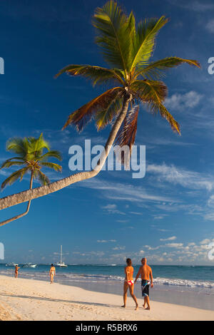 République dominicaine, Punta Cana, Bavaro, Bavaro beach, palm Banque D'Images