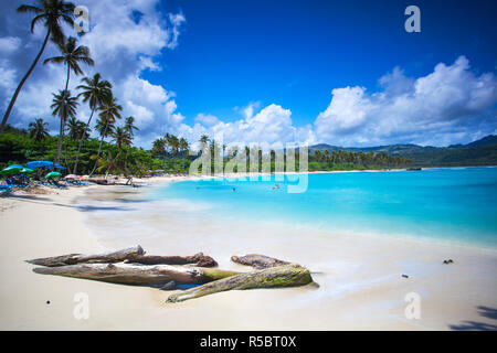 République dominicaine, Samana Peninsula, Playa Rincon Banque D'Images