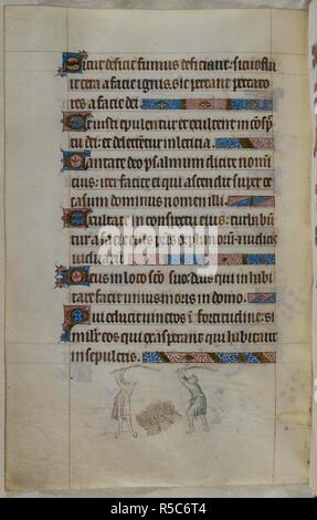 Bas-de-page scène de deux hommes à fléaux le battage du blé en gerbes. Psautier ('Le psautier de la Reine Mary"). Angleterre (Londres/Westminster ou East Anglia ?) ; entre 1310 et 1320. Source : Royal 2 B. VII, f.165v. Langue : Français de l'Amérique latine, avec les légendes des images. Banque D'Images