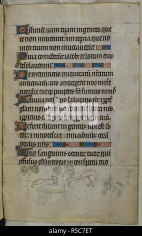 Bas-de-page lieux d'un saut de chat sauvage vers un dragon-grotesque. Psautier ('Le psautier de la Reine Mary"). Angleterre (Londres/Westminster ou East Anglia ?) ; entre 1310 et 1320. Source : Royal 2 B. VII, f.188. Langue : Français de l'Amérique latine, avec les légendes des images. Banque D'Images