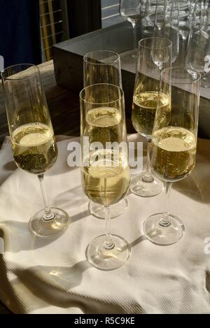 Champagne vin mousseux dans une bouteille versé dans les verres et servi dans un bar restaurant à Healdsburg, Californie, USA. Banque D'Images