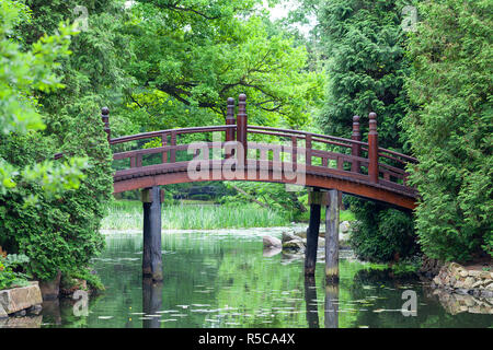 Jardin japonais, plantes exotiques, Wroclaw, Pologne Banque D'Images