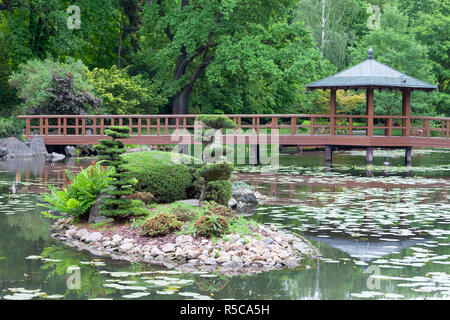 Jardin japonais, plantes exotiques, Wroclaw, Pologne Banque D'Images