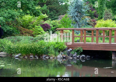 Jardin japonais, plantes exotiques, Wroclaw, Pologne Banque D'Images